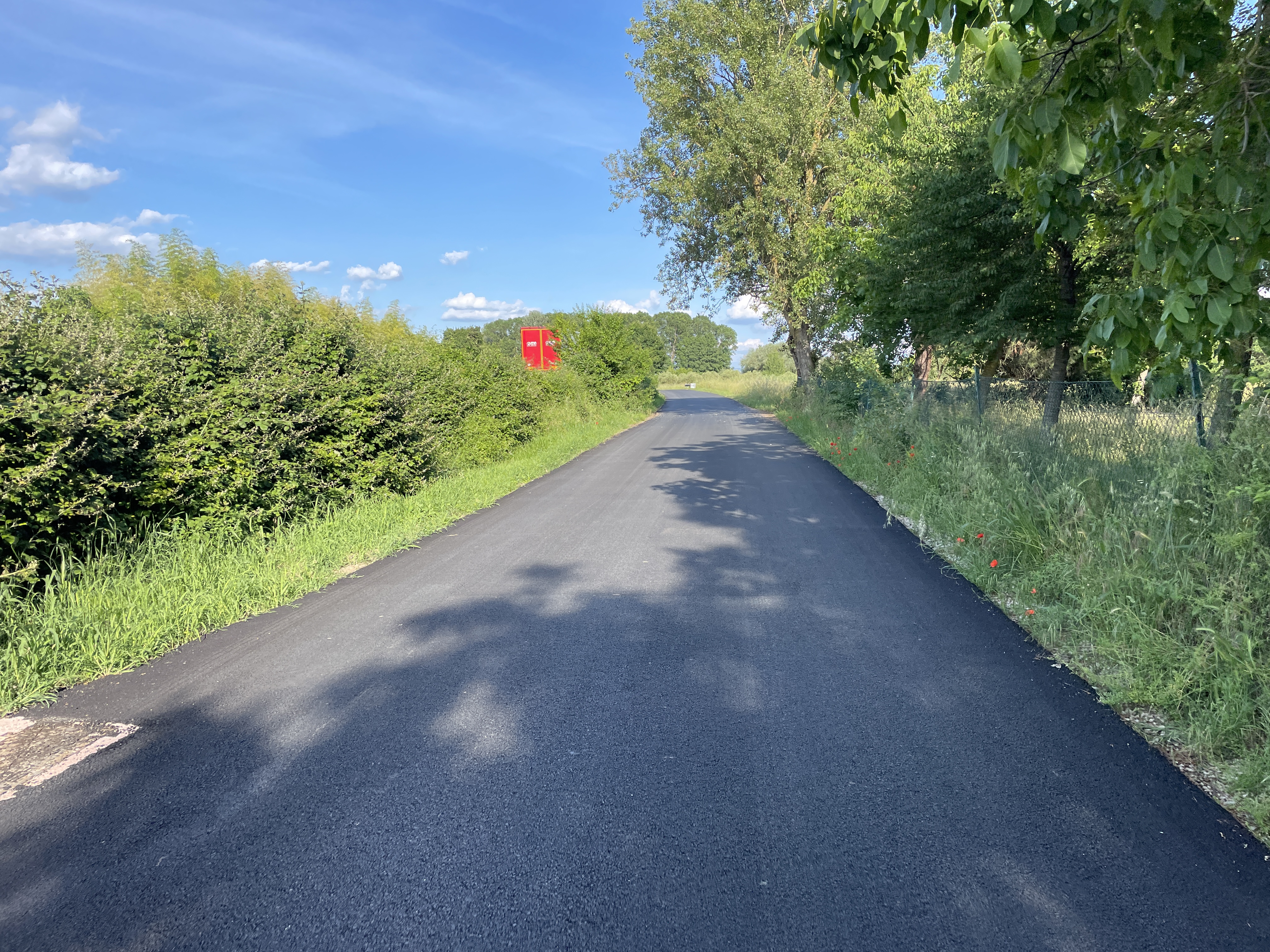 Gepflasterter Radweg in ländlicher Umgebung, links eine Hecke und rechts Bäume mit Büschen, die an eine andere Straße mit sichtbarem Fahrzeug grenzen.